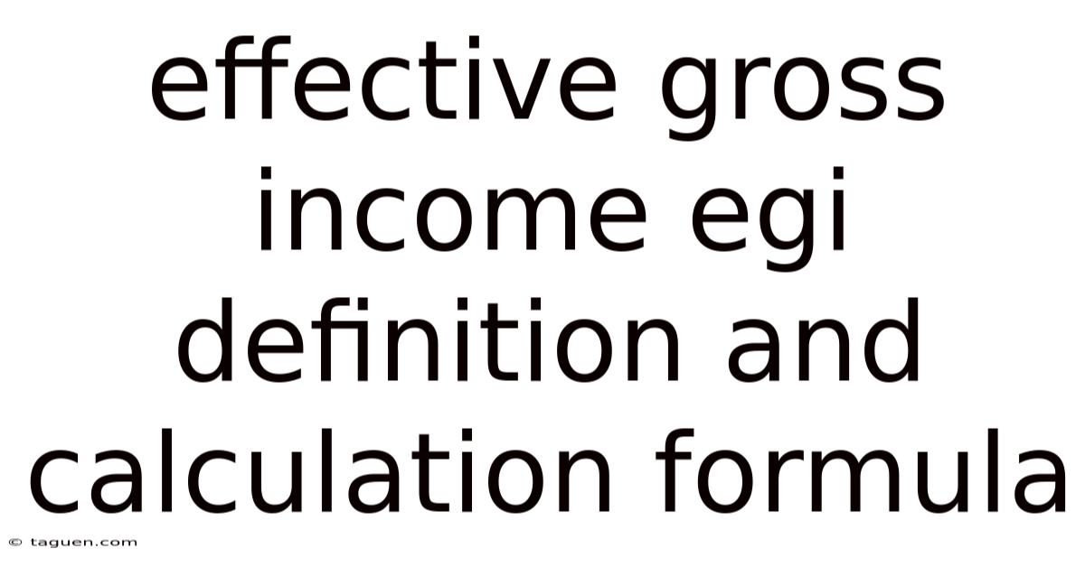 Effective Gross Income Egi Definition And Calculation Formula Effective Gross Income Egi Definition And Calculation Formula