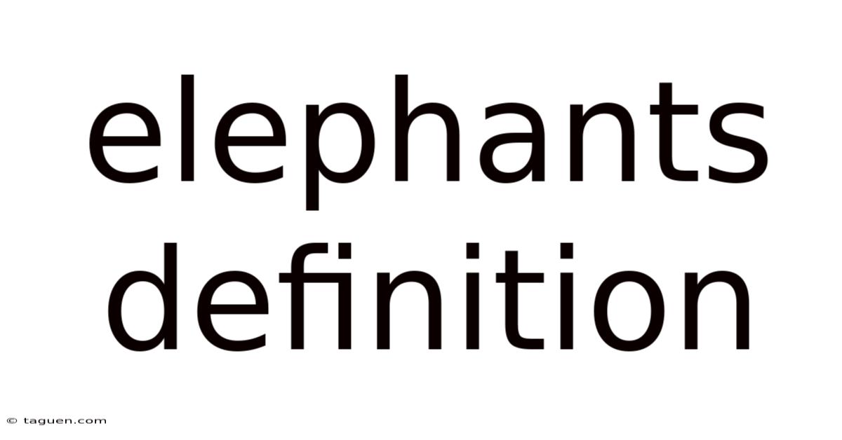 Elephants Definition Elephants Definition