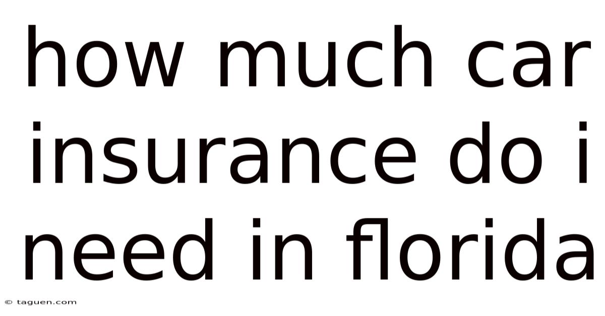 How Much Car Insurance Do I Need In Florida How Much Car Insurance Do I Need In Florida