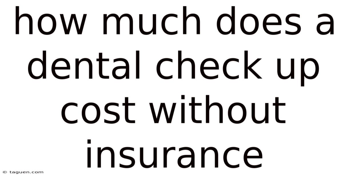 How Much Does A Dental Check Up Cost Without Insurance How Much Does A Dental Check Up Cost Without Insurance