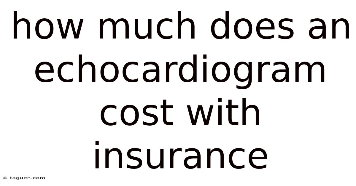 How Much Does An Echocardiogram Cost With Insurance How Much Does An Echocardiogram Cost With Insurance