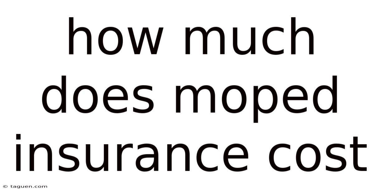 How Much Does Moped Insurance Cost How Much Does Moped Insurance Cost