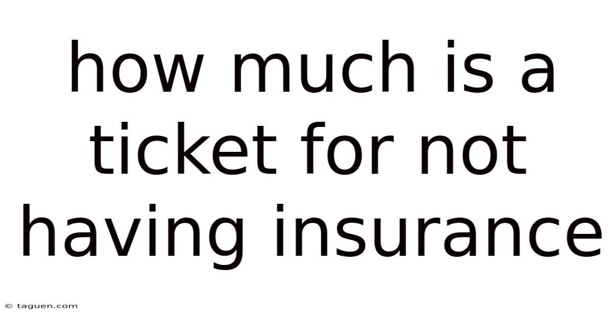 How Much Is A Ticket For Not Having Insurance How Much Is A Ticket For Not Having Insurance