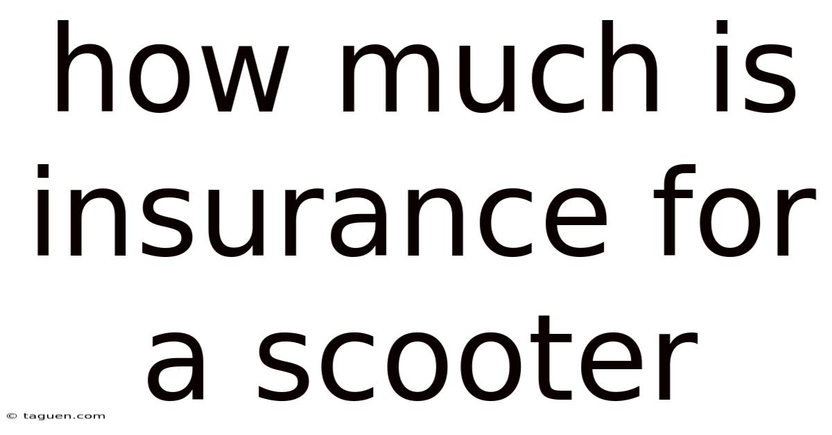How Much Is Insurance For A Scooter How Much Is Insurance For A Scooter
