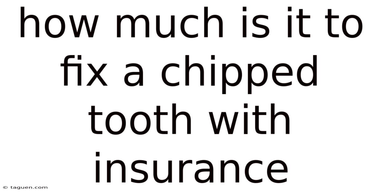 How Much Is It To Fix A Chipped Tooth With Insurance How Much Is It To Fix A Chipped Tooth With Insurance