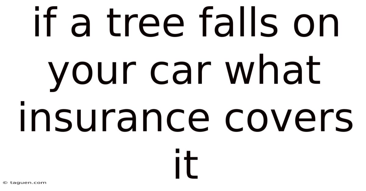 If A Tree Falls On Your Car What Insurance Covers It If A Tree Falls On Your Car What Insurance Covers It