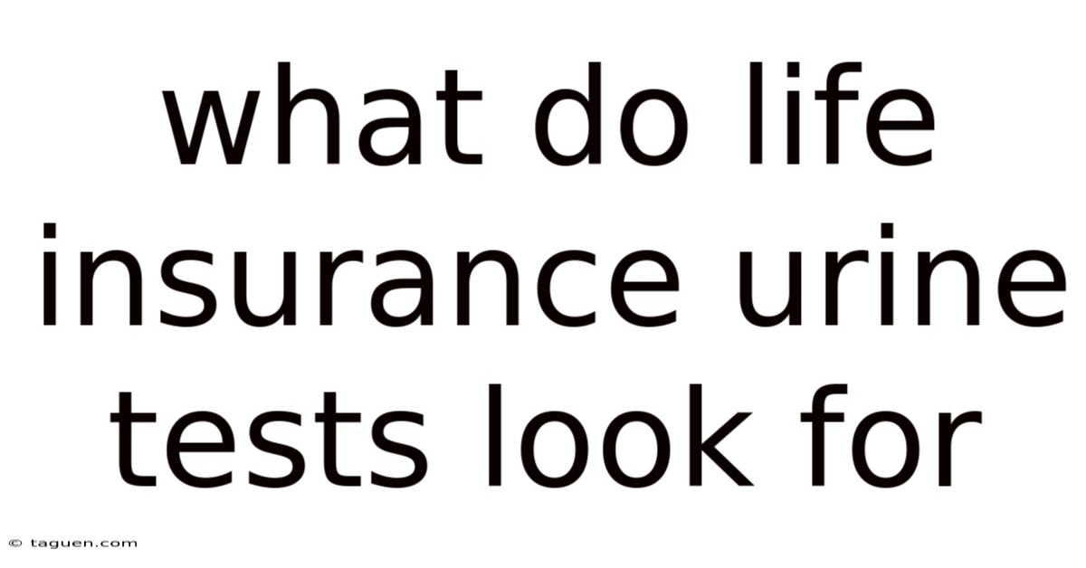 What Do Life Insurance Urine Tests Look For What Do Life Insurance Urine Tests Look For