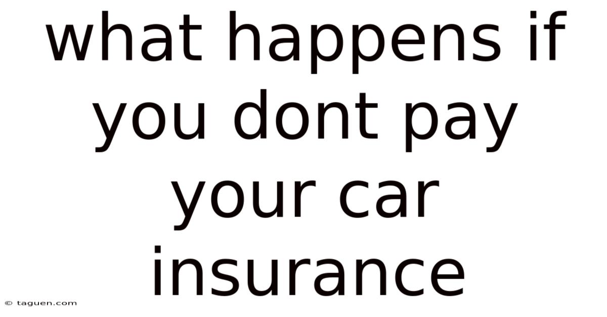 What Happens If You Dont Pay Your Car Insurance What Happens If You Dont Pay Your Car Insurance