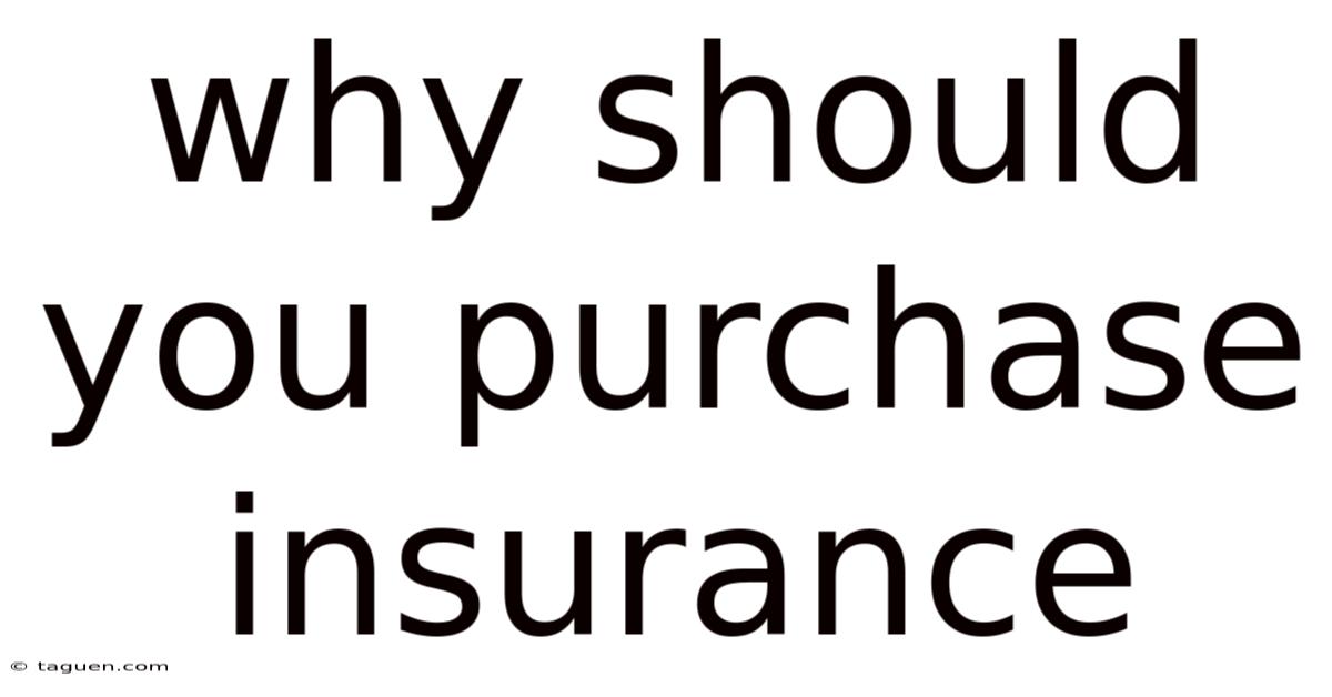 Why Should You Purchase Insurance Why Should You Purchase Insurance